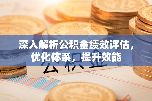 扶余深入解析公积金绩效评估，优化体系，提升效能