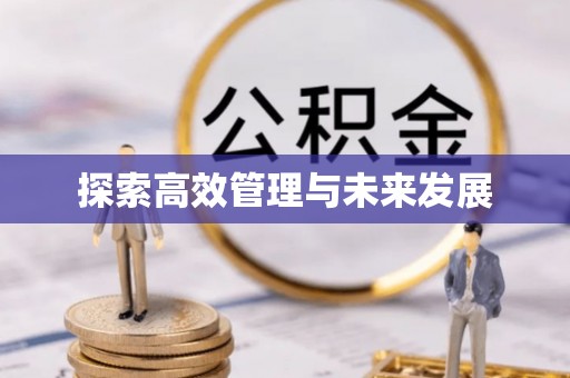 扶余探索高效管理与未来发展