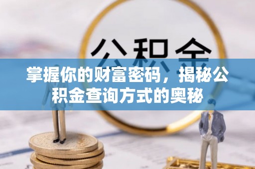 扶余掌握你的财富密码，揭秘公积金查询方式的奥秘