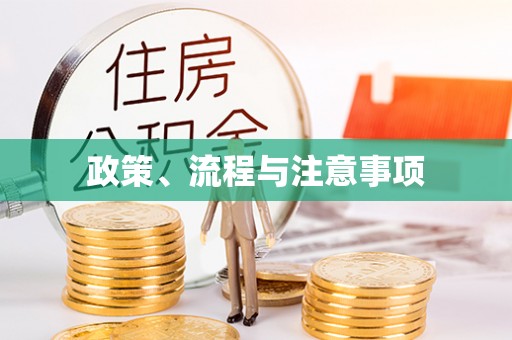 扶余政策、流程与注意事项