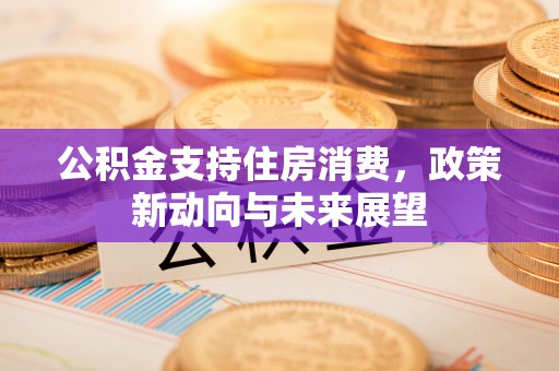扶余公积金支持住房消费，政策新动向与未来展望