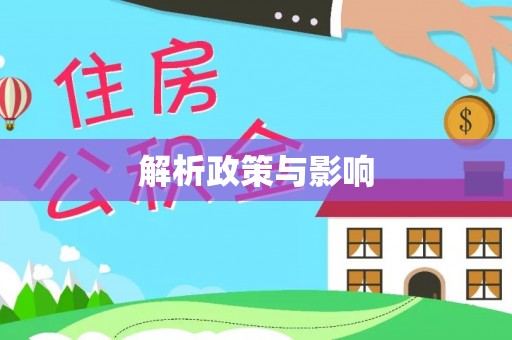 扶余解析政策与影响