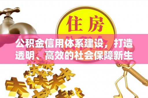 扶余公积金信用体系建设，打造透明、高效的社会保障新生态