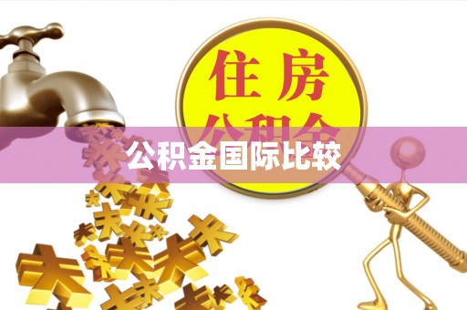 扶余公积金国际比较
