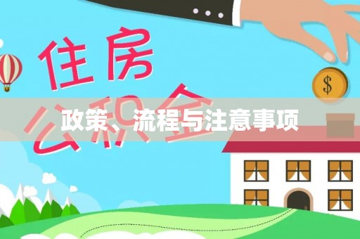 扶余政策、流程与注意事项