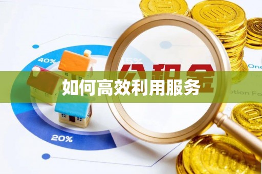 扶余如何高效利用服务