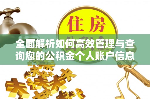 扶余全面解析如何高效管理与查询您的公积金个人账户信息