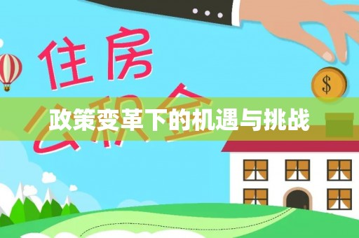 扶余政策变革下的机遇与挑战