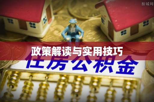 扶余政策解读与实用技巧