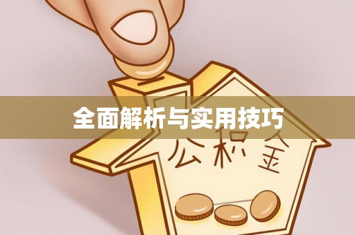 扶余全面解析与实用技巧