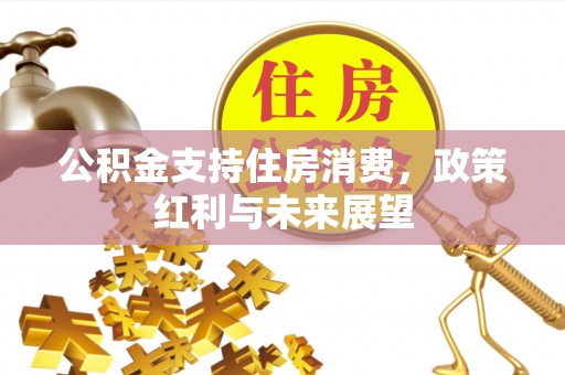 扶余公积金支持住房消费，政策红利与未来展望