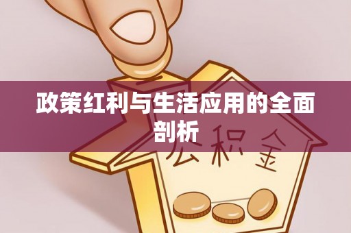 扶余政策红利与生活应用的全面剖析