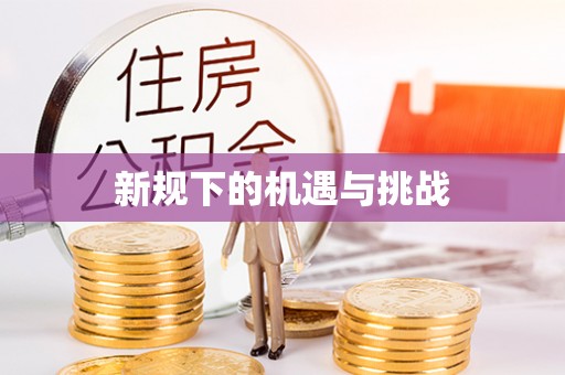 扶余新规下的机遇与挑战