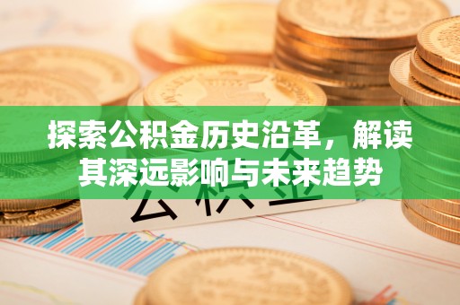 扶余探索公积金历史沿革，解读其深远影响与未来趋势