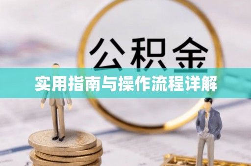 扶余实用指南与操作流程详解