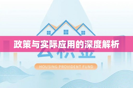 扶余政策与实际应用的深度解析