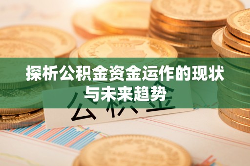 扶余探析公积金资金运作的现状与未来趋势