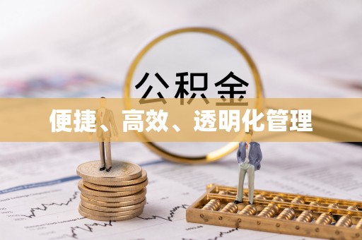 扶余便捷、高效、透明化管理