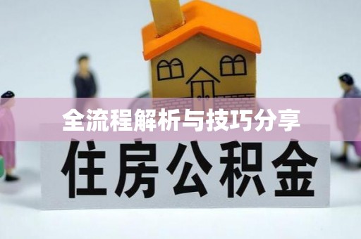 扶余全流程解析与技巧分享