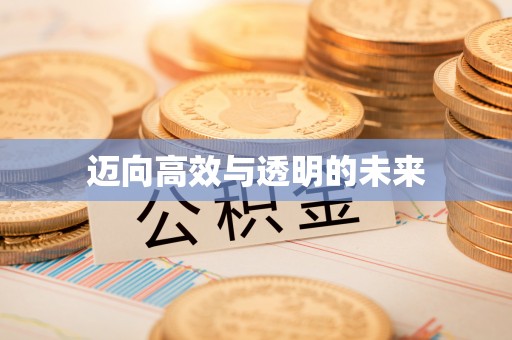 扶余迈向高效与透明的未来