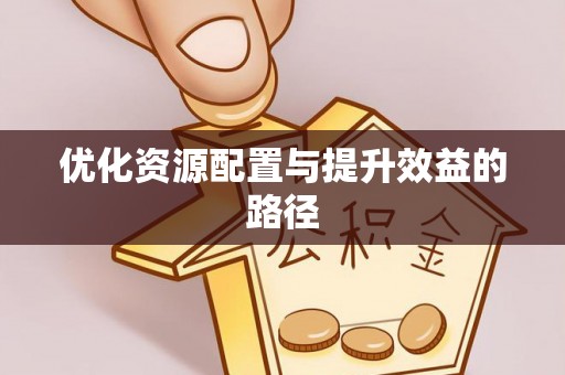 扶余优化资源配置与提升效益的路径