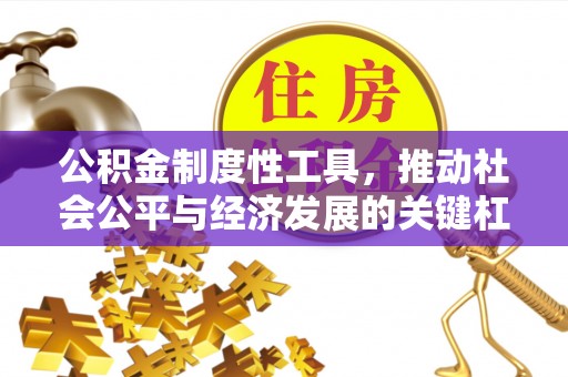 扶余公积金制度性工具，推动社会公平与经济发展的关键杠杆