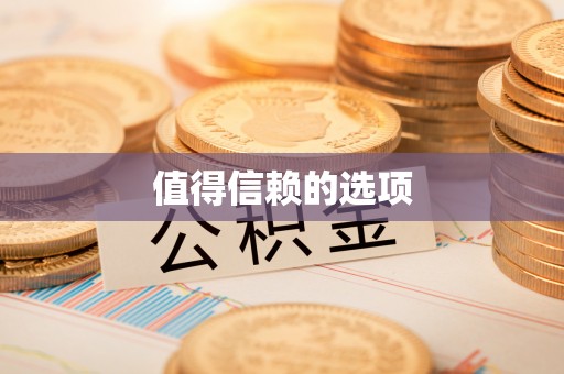扶余值得信赖的选项
