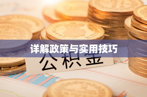 扶余详解政策与实用技巧