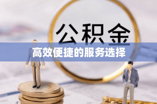 扶余高效便捷的服务选择
