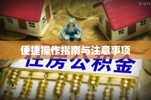 扶余便捷操作指南与注意事项