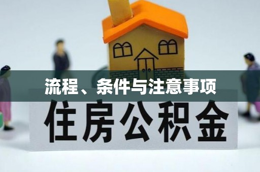 扶余流程、条件与注意事项